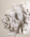 Cabeza de Laocoonte en Escayola sobre Peana