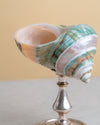 Caracola Natural Verde Agua sobre Pedestal de Alpaca