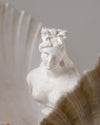 Escultura Nacimiento de Venus Busto Clásico sobre Concha Natural