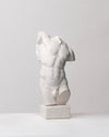 Torso Clásico de Academia Masculino