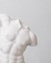 Torso Clásico de Academia Masculino