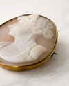 Broche camafeo en concha de rostro